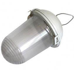 Светильник ЭРА НСП 02-100-001 без решетки Желудь сталь / стекло IP54 E27 max 100Вт 170х260 белый