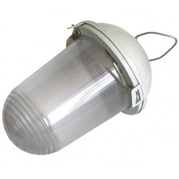 Светильник ЭРА  НСП 41-200-001 без решетки Желудь сталь / стекло IP54 E27 max 200Вт 185х260 белый